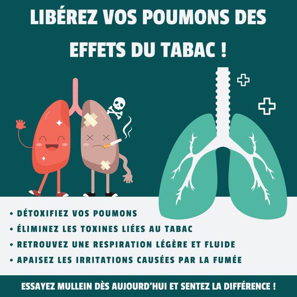 Gouttes pour les poumons à la molène TD