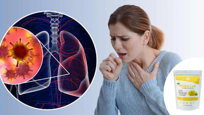 Incroyable ! Un remède révolutionnaire sans médicament qui nettoie vos poumons et vous aide à mieux respirer.