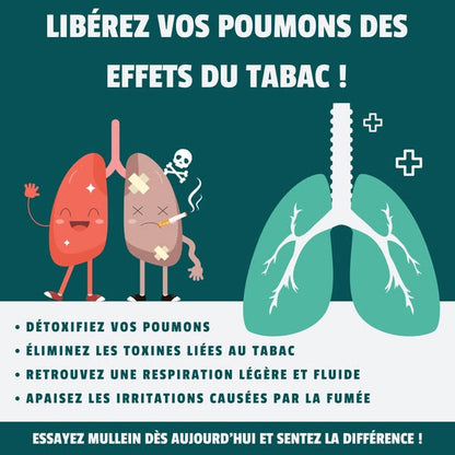 Gouttes pour les poumons à la molène