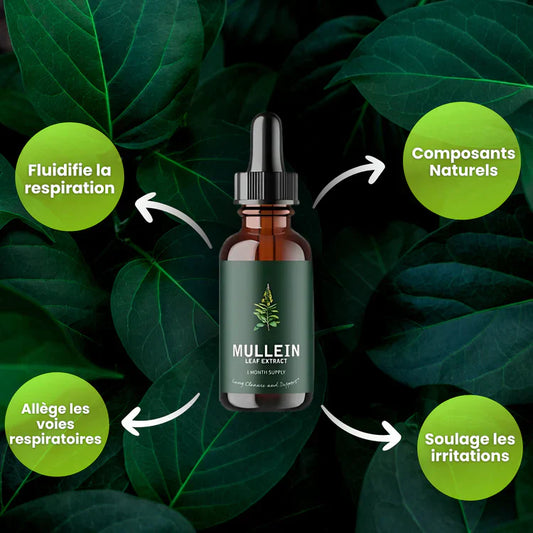 Gouttes pour les poumons à la molène