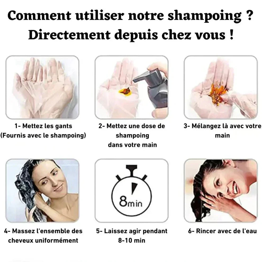 DISAAR huile d'Argan Marocaine -Eliminez les Cheveux Gris ! | Garantie Satisfait ou Remboursé (BN)