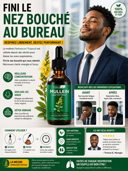 Goutte à la molène pour les poumons