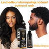 DISAAR huile d'Argan Marocaine -Eliminez les Cheveux Gris ! | Garantie Satisfait ou Remboursé (BN)